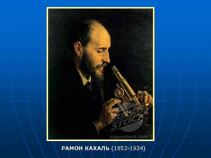 РАМОН КАХАЛЬ (1852 -1934) 