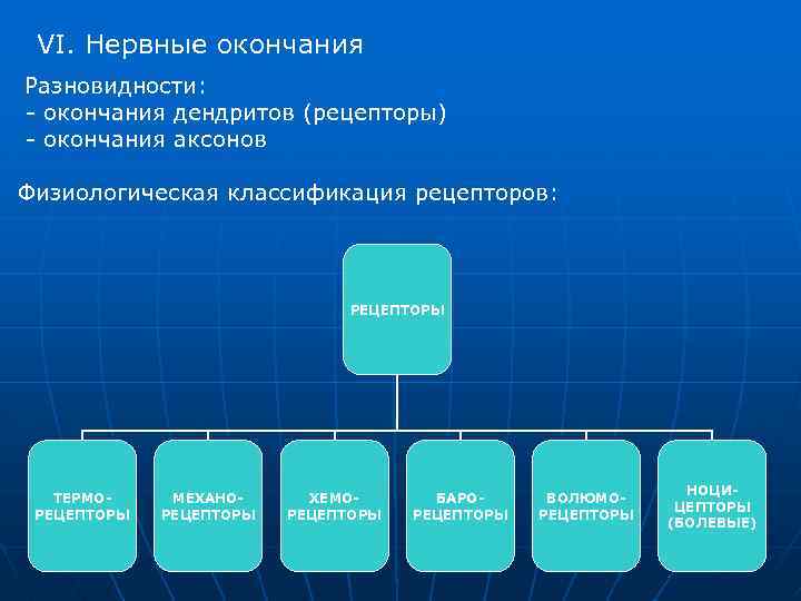 VI. Нервные окончания Разновидности: - окончания дендритов (рецепторы) - окончания аксонов Физиологическая классификация рецепторов: