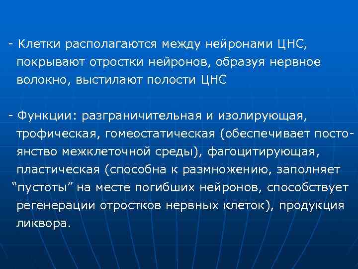 - Клетки располагаются между нейронами ЦНС, покрывают отростки нейронов, образуя нервное волокно, выстилают полости