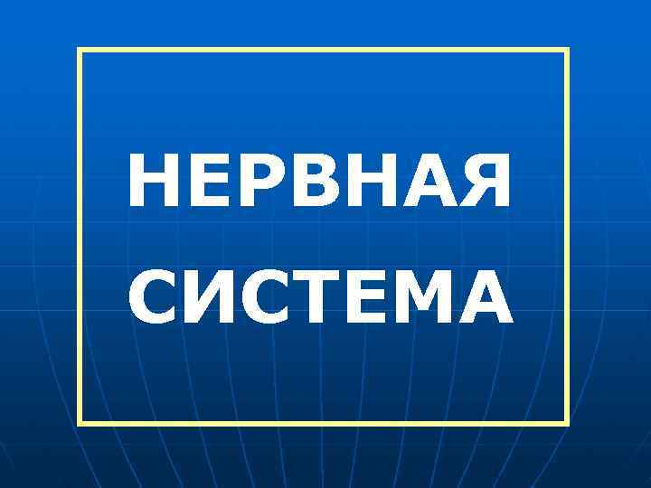 НЕРВНАЯ СИСТЕМА 