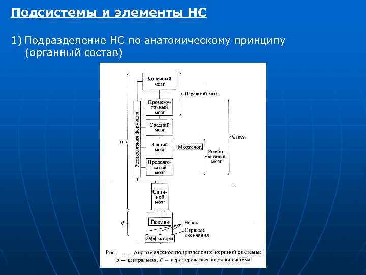 Нс элементы