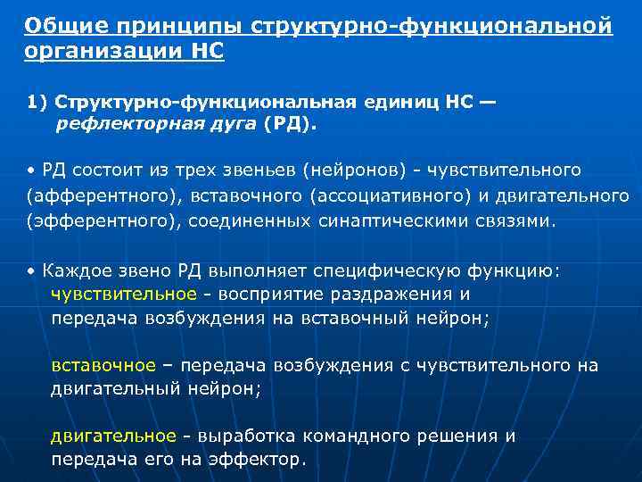 Общие принципы структурно-функциональной организации НС 1) Структурно-функциональная единиц НС — рефлекторная дуга (РД). •