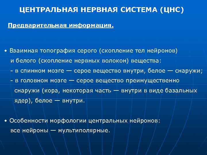 ЦЕНТРАЛЬНАЯ НЕРВНАЯ СИСТЕМА (ЦНС) Предварительная информация. • Взаимная топография серого (скопление тел нейронов) и