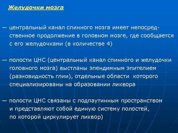 Желудочки мозга — центральный канал спинного мозга имеет непосред ственное продолжение в головном мозге,