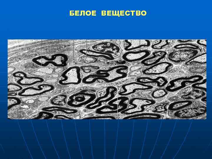 БЕЛОЕ ВЕЩЕСТВО 