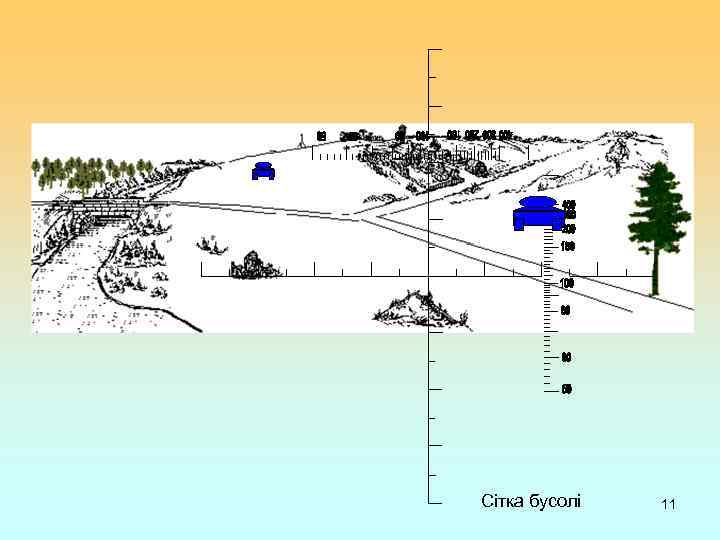 Сітка бусолі 11 