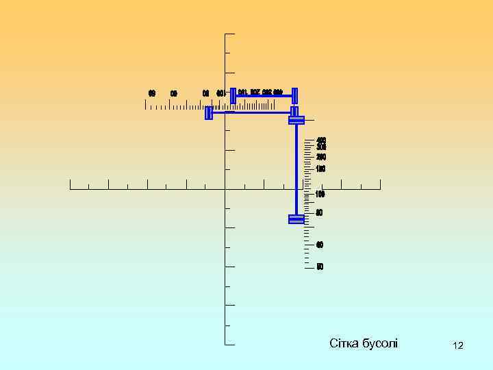 Сітка бусолі 12 