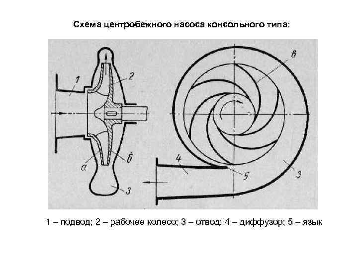 Принципиальная схема центробежного насоса