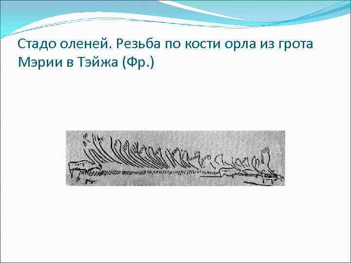 Стадо оленей. Резьба по кости орла из грота Мэрии в Тэйжа (Фр. ) 