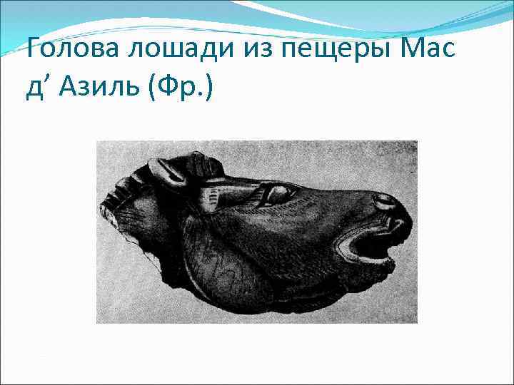 Голова лошади из пещеры Мас д’ Азиль (Фр. ) 