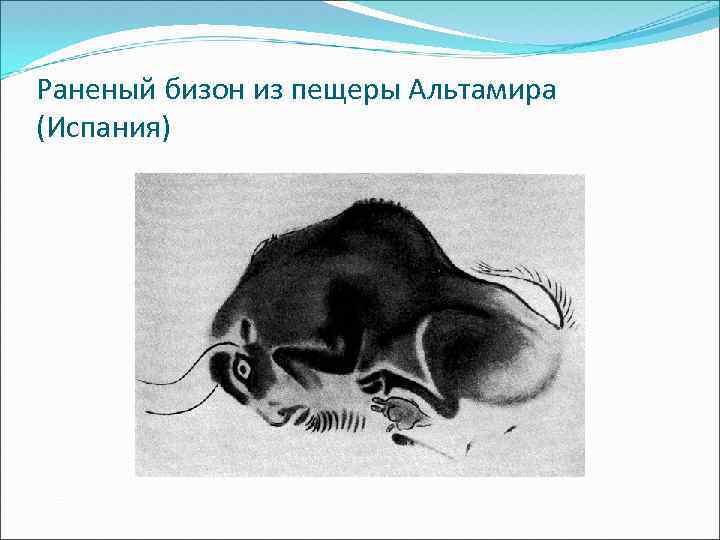 Раненый бизон из пещеры Альтамира (Испания) 