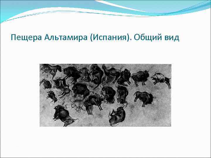Пещера Альтамира (Испания). Общий вид 