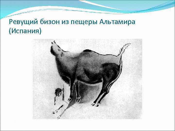 Ревущий бизон из пещеры Альтамира (Испания) 