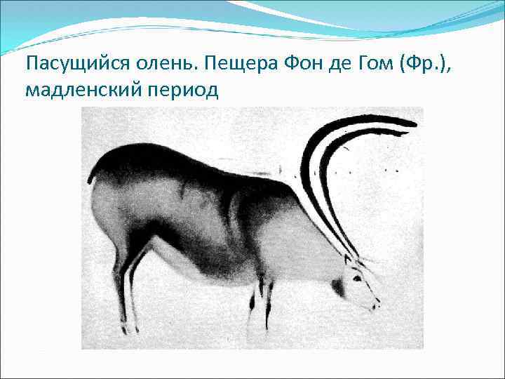 Пасущийся олень. Пещера Фон де Гом (Фр. ), мадленский период 