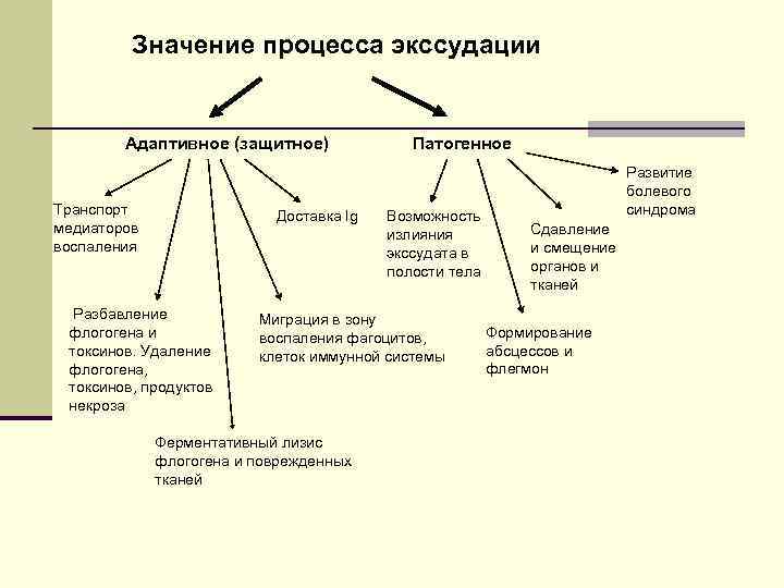 Значение процесса экссудации Адаптивное (защитное) Транспорт медиаторов воспаления Доставка Ig Разбавление флогогена и токсинов.