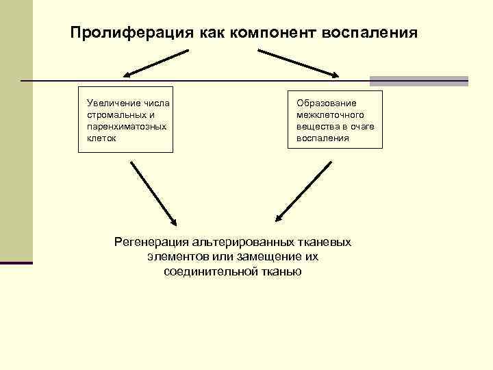 Воспаление типовой патологический процесс