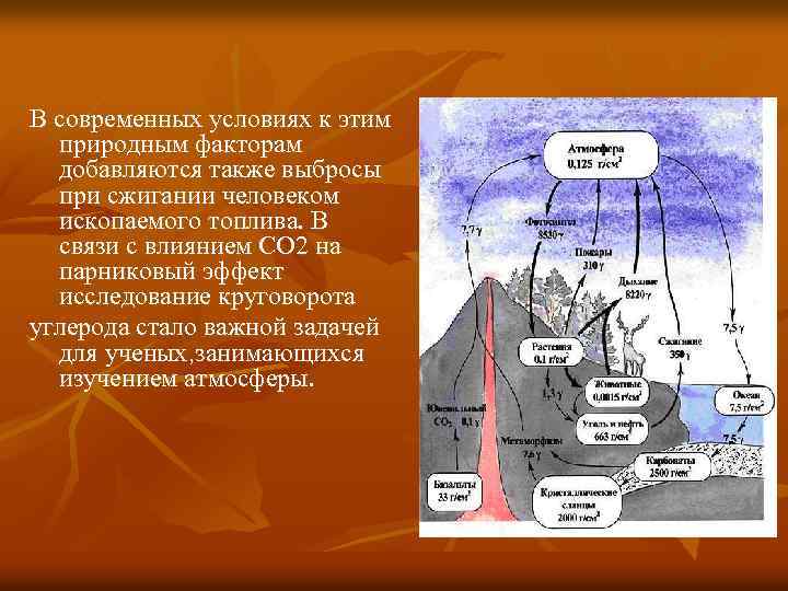 Презентация круговорот углерода в природе 11 класс