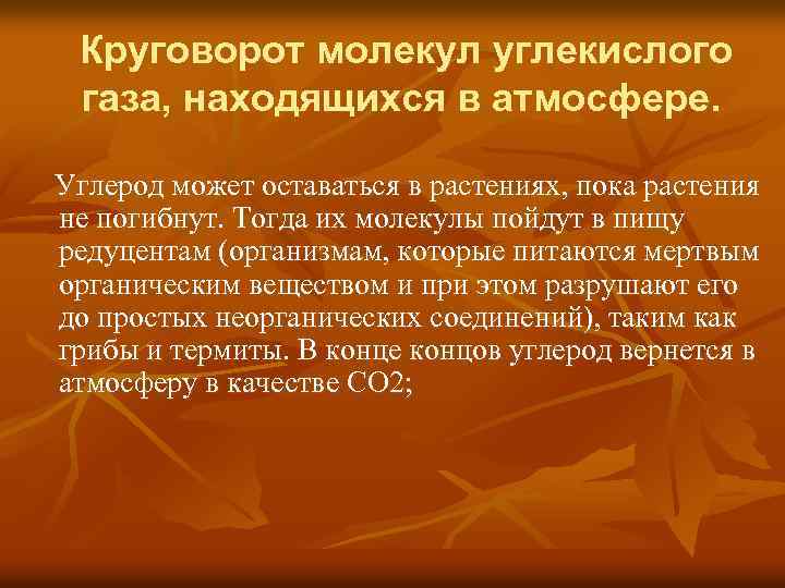 Круговорот молекул углекислого газа, находящихся в атмосфере. Углерод может оставаться в растениях, пока растения