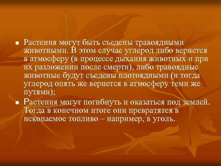 n n Растения могут быть съедены травоядными животными. В этом случае углерод либо вернется