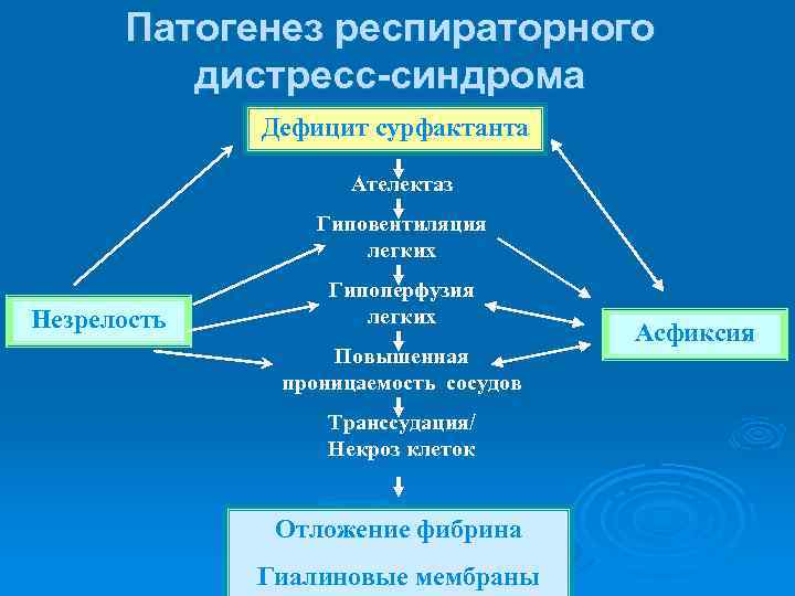 Патогенез респираторного дистресс-синдрома Дефицит сурфактанта Ателектаз Гиповентиляция легких Незрелость Гипоперфузия легких Повышенная проницаемость сосудов