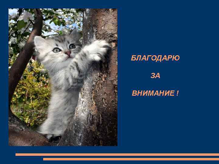 БЛАГОДАРЮ ЗА ВНИМАНИЕ ! 