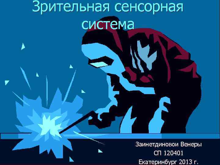 Зрительная сенсорная система Заинетдиновои Венеры СП 120401 Екатеринбург 2013 г. 