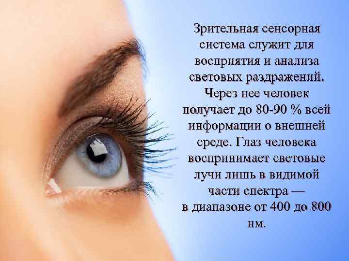  Зрительная сенсорная система служит для восприятия и анализа световых раздражений. Через нее человек