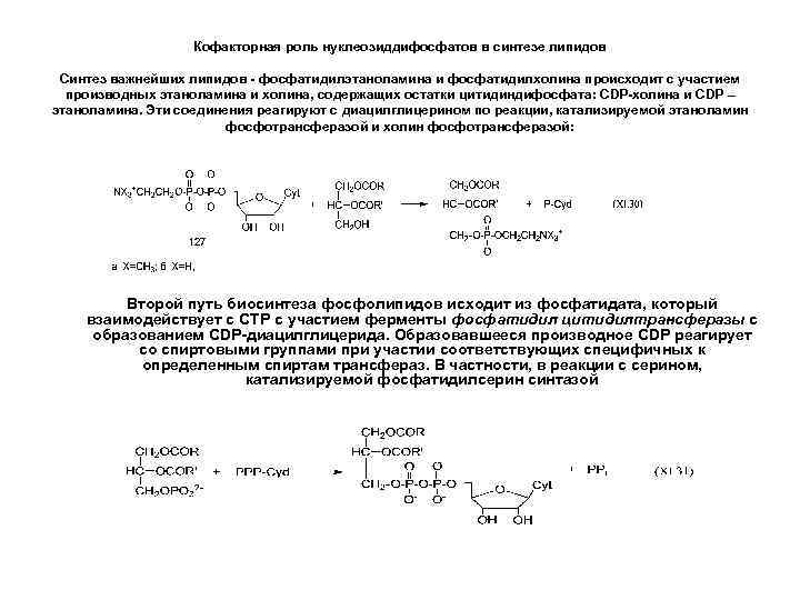 Кофакторная роль нуклеозиддифосфатов в синтезе липидов Синтез важнейших липидов - фосфатидилэтаноламина и фосфатидилхолина происходит
