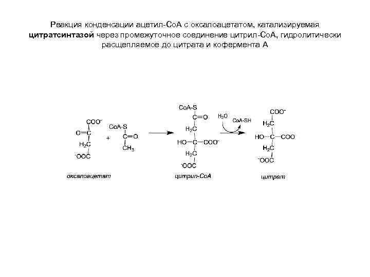 Реакция катализируемая алт