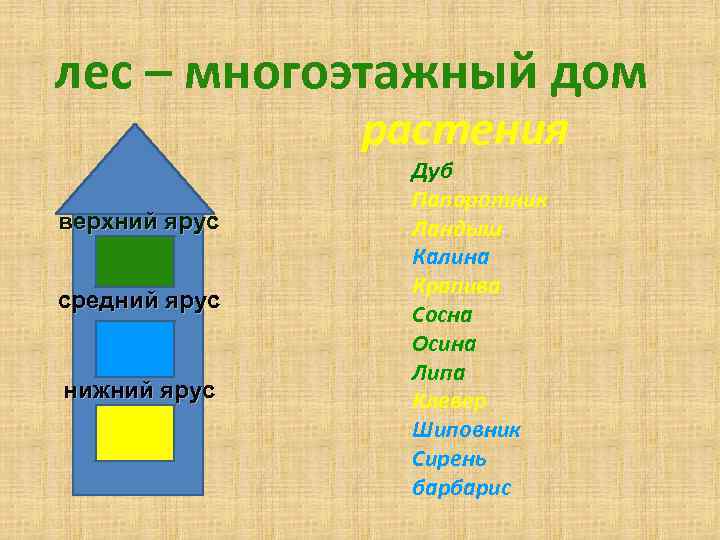 Картинки лес многоэтажный дом