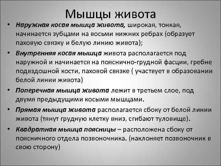 Мышцы живота • Наружная косая мышца живота, широкая, тонкая, начинается зубцами на восьми нижних