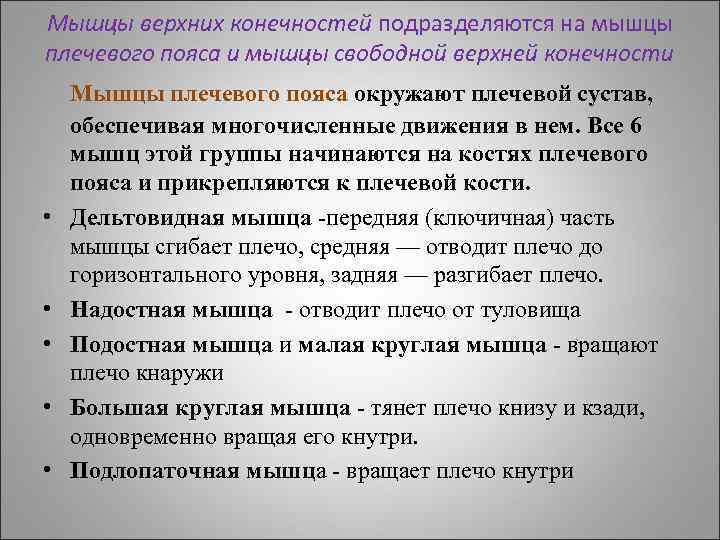 Мышцы верхних конечностей подразделяются на мышцы плечевого пояса и мышцы свободной верхней конечности •
