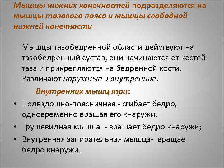 Мышцы нижних конечностей подразделяются на мышцы тазового пояса и мышцы свободной нижней конечности Мышцы