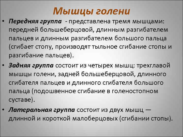 Мышцы голени • Передняя группа - представлена тремя мышцами: передней большеберцовой, длинным разгибателем пальцев