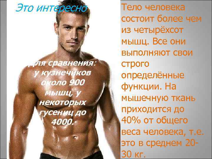 Это интересно Для сравнения: у кузнечиков около 900 мышц, у некоторых гусениц до 4000.
