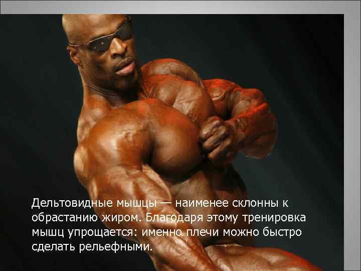 Дельтовидные мышцы — наименее склонны к обрастанию жиром. Благодаря этому тренировка мышц упрощается: именно