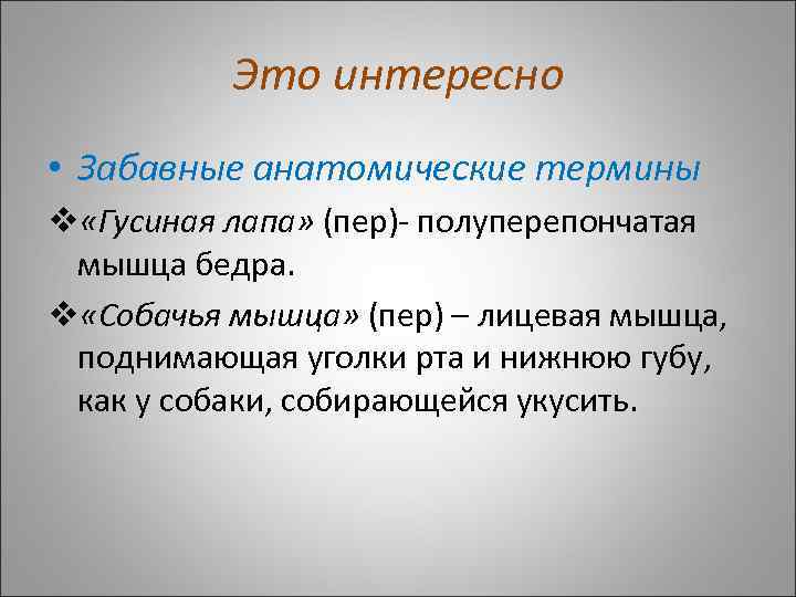 Это интересно • Забавные анатомические термины v «Гусиная лапа» (пер)- полуперепончатая мышца бедра. v
