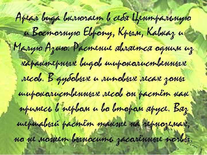 Ареал вида включает в себя Центральную и Восточную Европу, Крым, Кавказ и Малую Азию.