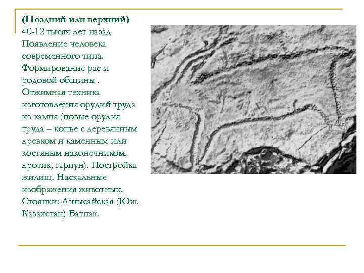 (Поздний или верхний) 40 -12 тысяч лет назад Появление человека современного типа. Формирование рас