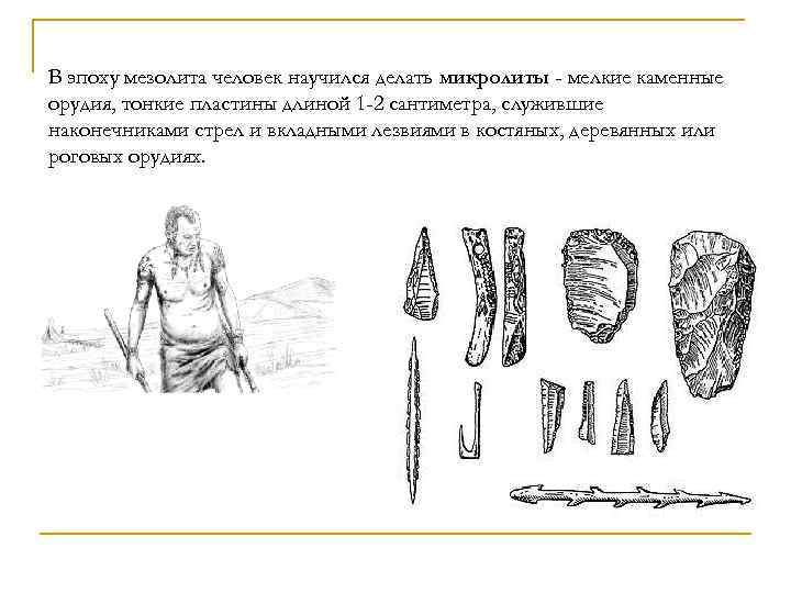 В эпоху мезолита человек научился делать микролиты - мелкие каменные орудия, тонкие пластины длиной