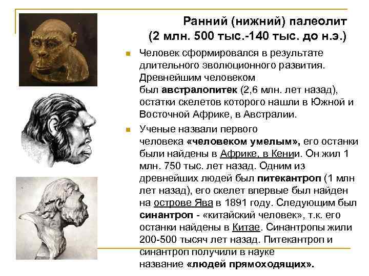 Ранний (нижний) палеолит (2 млн. 500 тыс. -140 тыс. до н. э. ) n