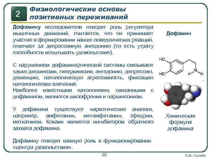 2 Физиологические основы позитивных переживаний Дофамину исследователи отводят роль регулятора мышечных движений, считается, что