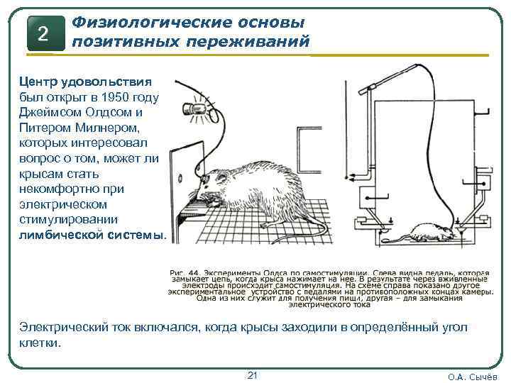 Схема накопителя переживаний