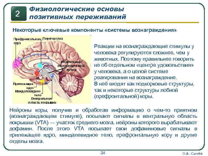 Физиологические основы