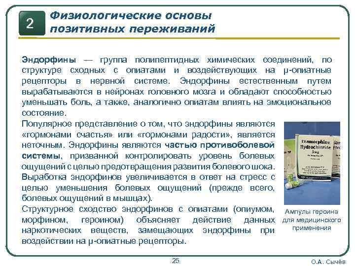 2 Физиологические основы позитивных переживаний Эндорфины — группа полипептидных химических соединений, по структуре сходных