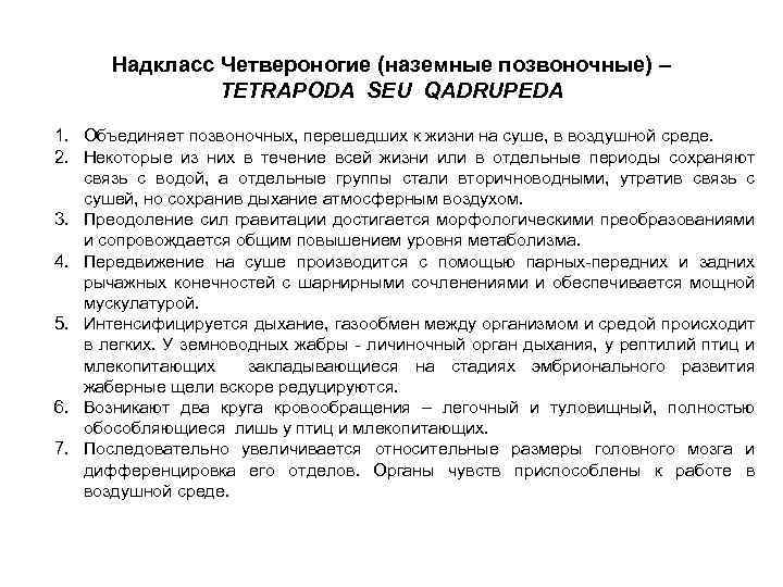 Надкласс Четвероногие (наземные позвоночные) – TETRAPODA SEU QADRUPEDA 1. Объединяет позвоночных, перешедших к жизни