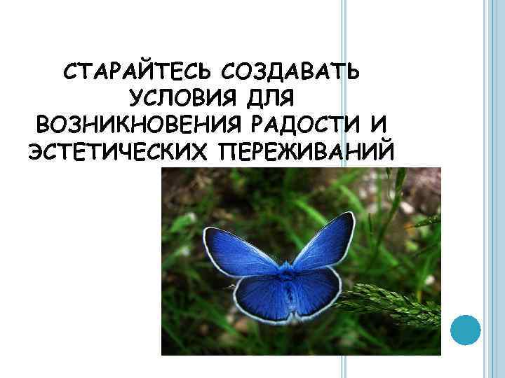 СТАРАЙТЕСЬ СОЗДАВАТЬ УСЛОВИЯ ДЛЯ ВОЗНИКНОВЕНИЯ РАДОСТИ И ЭСТЕТИЧЕСКИХ ПЕРЕЖИВАНИЙ 