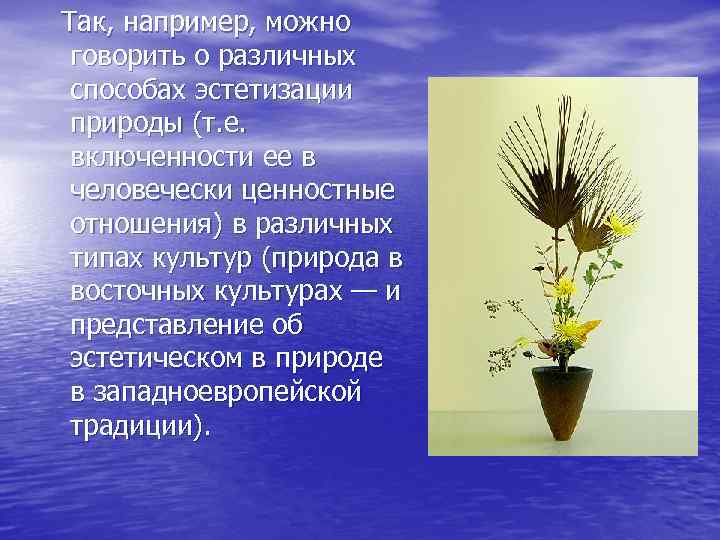  Так, например, можно говорить о различных способах эстетизации природы (т. е. включенности ее