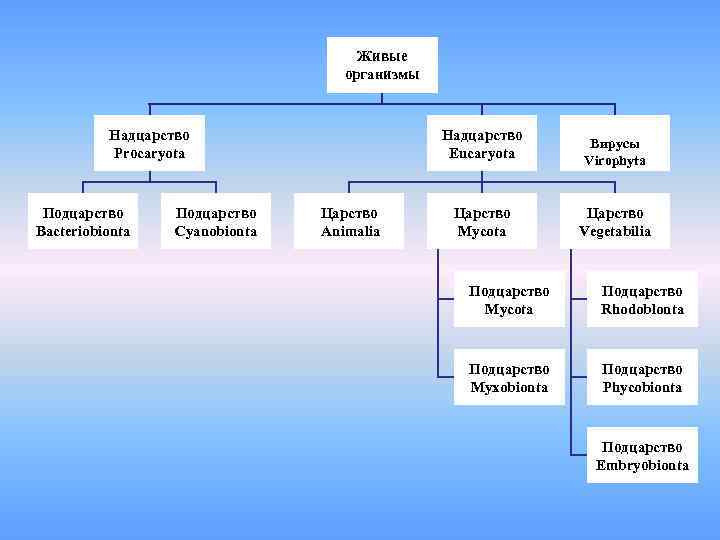 Надцарство. Надцарства живых организмов. Надцарство живых организмов схема. Классификация живых организмов царства подцарства. Надцарства клеточных организмов.