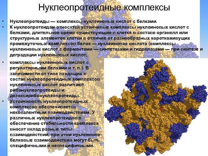 Нуклеиновый белок. Нуклеопротеиды. Нуклеопротеидный комплекс. Нуклеопротеидные структуры. Нуклеопротеиды структура.